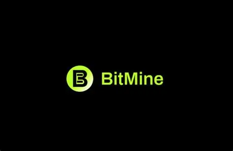 BitMine logo on a black background.